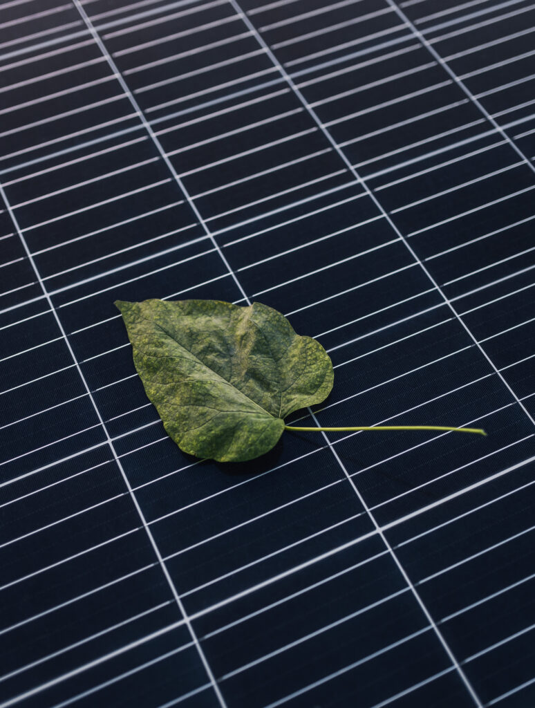 photovoltaic-system-with-leaf-sustainable-energy-against-climate-change